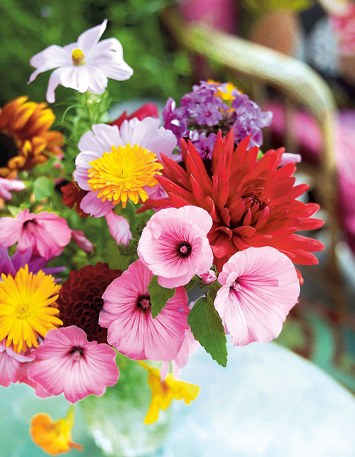 印度情調(diào)大露臺(tái) 神秘花園色彩繽紛(組圖) 